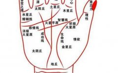 说说八面玲珑人手相特征