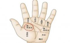 爱钻牛角尖性格手相特征