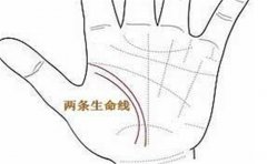 好命运手相特征多种多样，这些说不定你也有