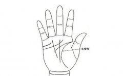 手相要这样看运势，别说我没有告诉你