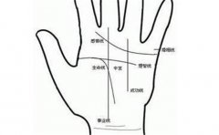 不同类型的成功线运势分析