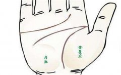 不同手指斗形纹的意义