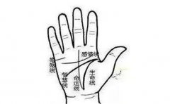 不同手指箕纹意义