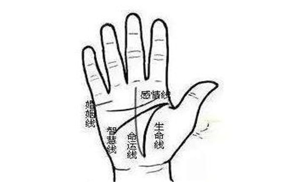 手指箕纹意义