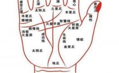 不同手指蹄状纹代表的意义