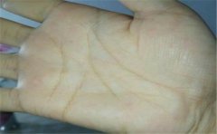 川字掌运势分析 大师：最幸运的一种手相