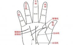 从手型看性格 事业成功与否一目了然