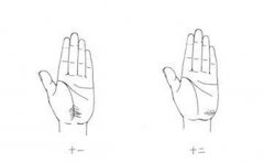 单一婚姻线反映的婚姻运