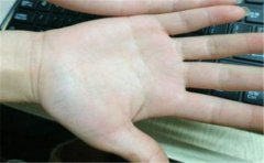 感情线种类及其意义