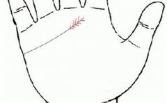 好命的手相，这样的人天生好命