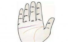 看手相左右手 这样的女人手相福气满满