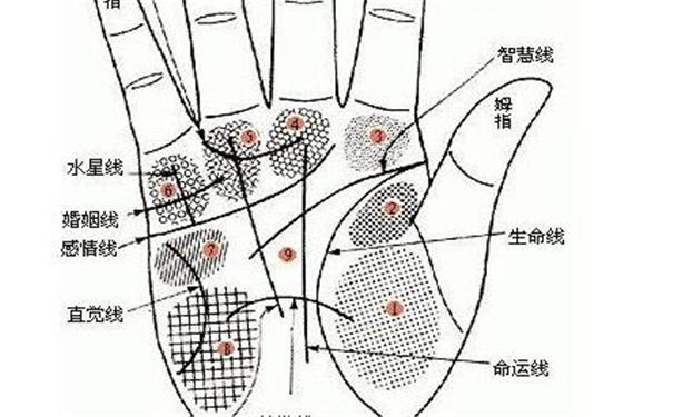 从手相看五葬六腑的疾病