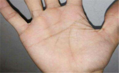 手掌纹断裂，感情线断裂寓意着这些信息