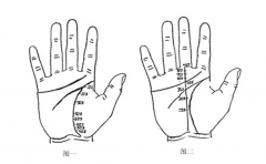 手掌纹路图解，这样的手相比较有钱