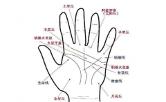 手相掌纹图解分析，比较罕见的掌纹类型