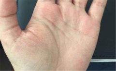 三条主掌纹清晰，以及出现模糊的含义都是不一