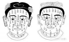 女人痣相解读,常见女人富贵痣有这些