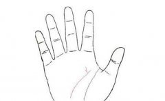 智慧线中间分叉和其他分叉情况分析，寓意有很