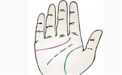 感情线与智慧线相连的女人在这两个方面应该注