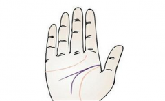 智慧线分叉很大的人非常聪明，女人的话会很强