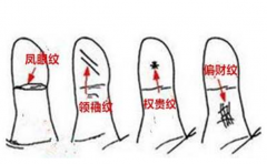 这才是真正的凤眼纹，其他的都是冒牌货