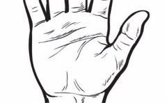 烂桃花的手相有这些特征