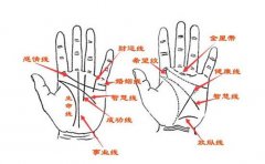 没听过情感线没有关系，换个名字你就知道它是