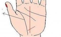 手相招财有这些特征