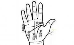 女人手相算命图解，财运好的女人手相分析