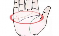 手相井字纹在小指下财运旺盛，这些人的财运也