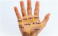 五指下方的手相丘分析，每一个都有蕴含的信息