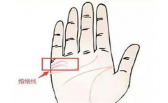 手相图解婚姻线，婚姻线特征暴露了你的情感运