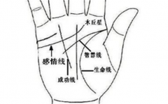 这种掌纹交叉寓意非常好，能够拥有的人其实不