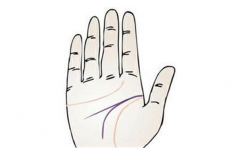 有智慧手相特征分析，这些人都很聪明