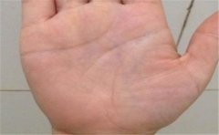 手相字纹，这些手相都是以形状特征来命名的