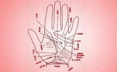 手相看近期财运 有这些纹路 说明财运正在向你靠