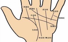 手相看桃花运 揭开人生的婚恋秘密