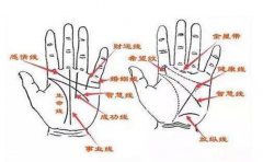 手相左右手差异 手相大师告诉该选哪只手