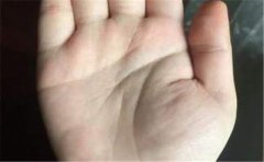 事业线和生命线相交情况多，具体手相要具体分