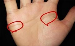 智慧线生命线前端重合，很多人的手相都是如此