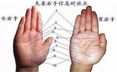 手掌特征看财运
