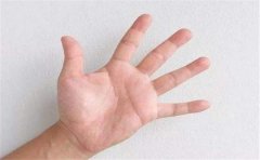 手指看性格 一看一个准