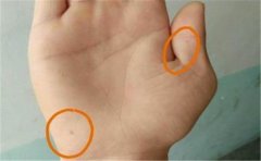 通过手特点看性格