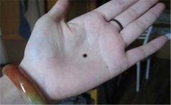 万人迷手相 这些人最适合做公关