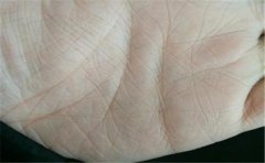 五种大吉手相 拥有一种就是最强幸运儿