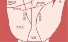 五种魅力爆棚的手相 拥有的人身边永远围满异性