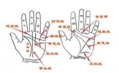 手相井字出现在中指下方有好寓意，这些手相也