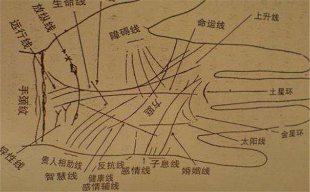 手掌纹与疾病的关系