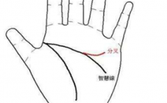 手相流年，从你的手掌看各方面运势，参考作用