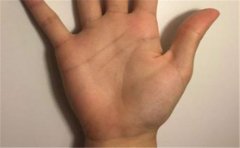 婚姻状况跟这个掌纹关系最大，看它特征就可以